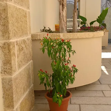 Affittacamere Gradiè 4*