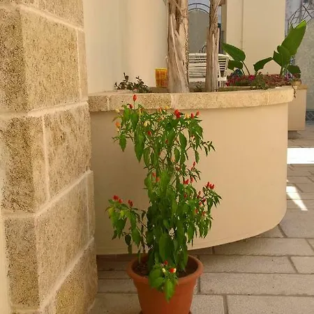 Guest house Gradie